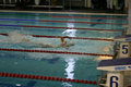 IMG_2772.JPG
